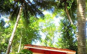 Beach Valley